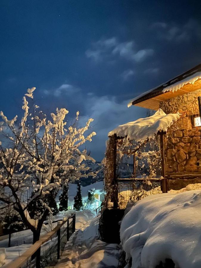 Гостевой Дом Chimgan Apple Garden Экстерьер фото