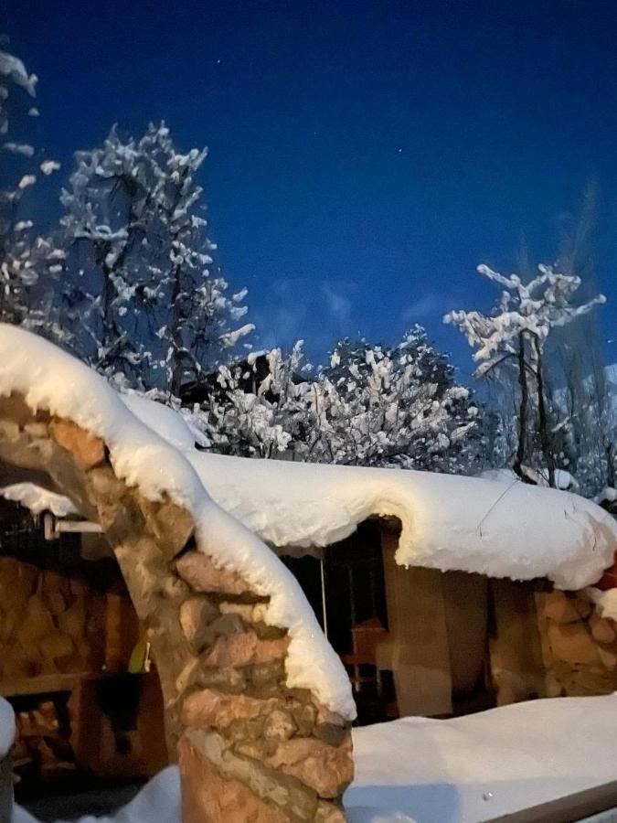 Гостевой Дом Chimgan Apple Garden Экстерьер фото