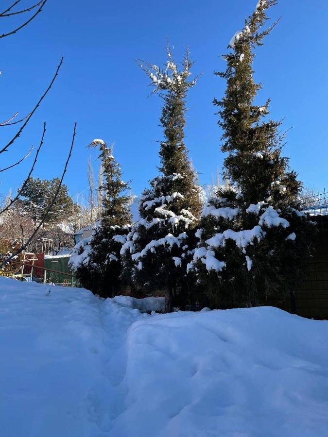 Гостевой Дом Chimgan Apple Garden Экстерьер фото