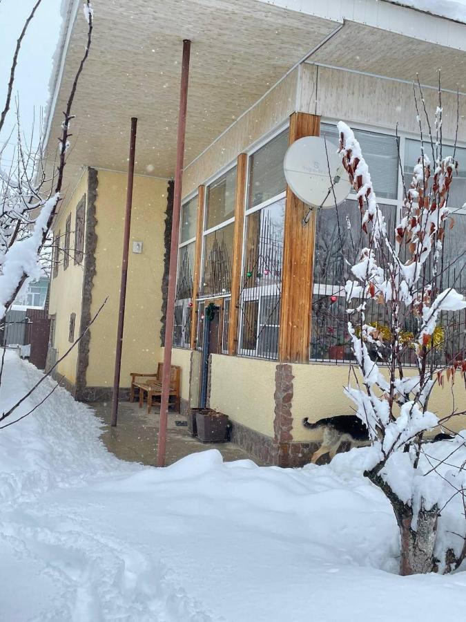 Гостевой Дом Chimgan Apple Garden Экстерьер фото