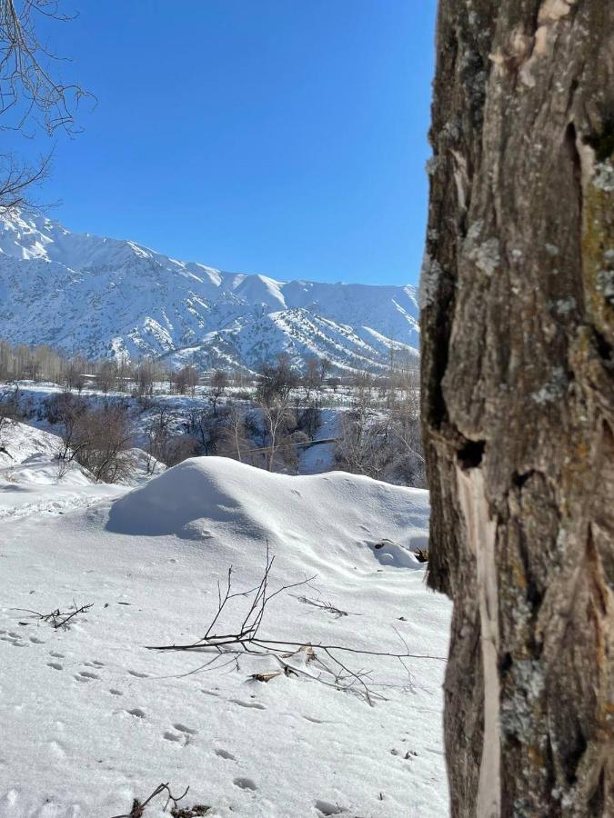 Гостевой Дом Chimgan Apple Garden Экстерьер фото